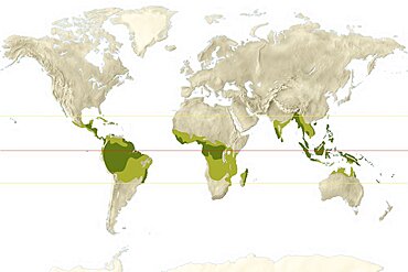 Distribution of tropical climate