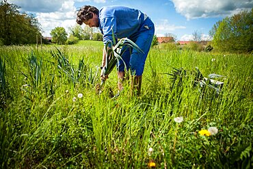 Organic farming