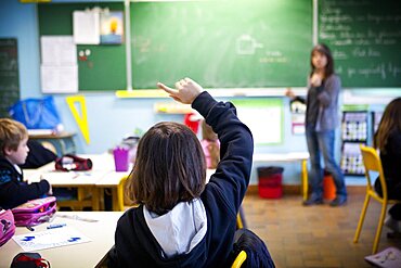 Primary School Class