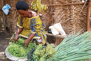 Photo essay in Lome, Togo. Herbal medicine.