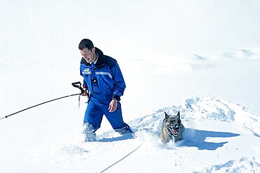 Police Rescue With Avalanche Search Dog