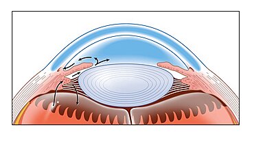 Eye, Drawing