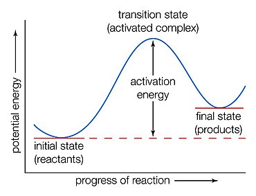 Potential energy curve