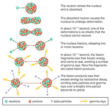 Fission of a uranium nucleus