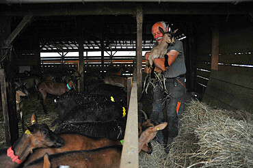 Former high-level sportsman Xavier Philippe has converted to goat farming and the manufacture and sale of fresh cheese, tomme cheese, cottage cheese, cheese, yogurt, organic milk