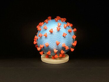 SARS-CoV-2, COVID-19 Virus