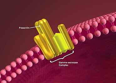 Alzheimer's Disease, Mutant Presenilin Genes