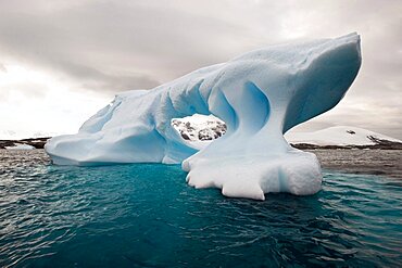 Iceberg