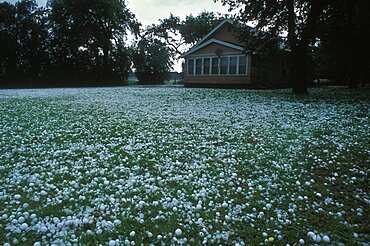 Hailstones