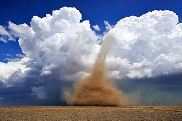 Tornado Beneath Supercell