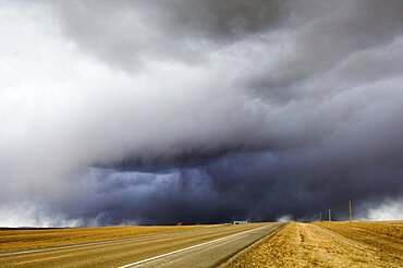 Dakota Snowsquall