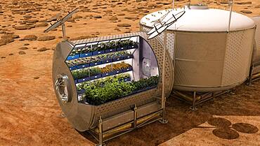 Vegetable Garden on Mars