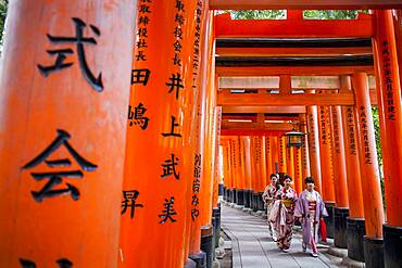 Torii gates at Fushimi Inari-Taisha sanctuary,Kyoto, Japan