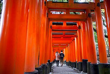 Torii gates at Fushimi Inari-Taisha sanctuary,Kyoto, Japan