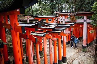 Torii gates at Fushimi Inari-Taisha sanctuary,Kyoto, Japan