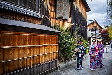 women dressed in kimono, in Shirakawa-minami-dori, Gion district, Kyoto. Kansai, Japan.