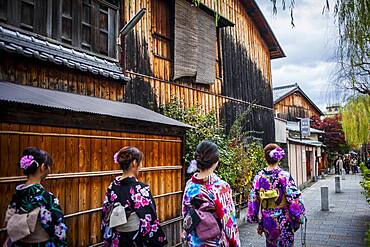 women dressed in kimono, in Shirakawa-minami-dori, Gion district, Kyoto. Kansai, Japan.