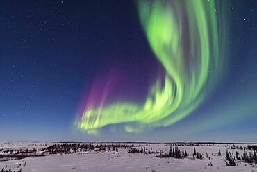 A superb display of aurora borealis seen on March 14, 2016 when it reached Level 5 storm levels. Here it begins in the evening twilight and in the light of the 6-day-old Moon. Jupiter is at right. This view is looking east.