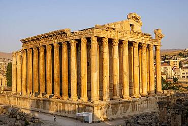 Temple of Bacchus, Baalbeck, Bekaa Valley, Lebanon