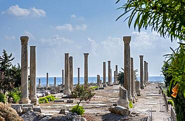 Al-Mina archaeological site, Tyre (Sour), Lebanon.