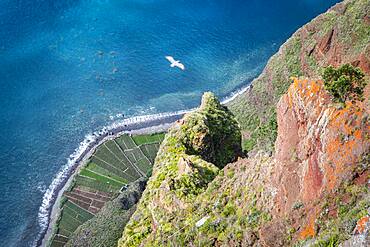 Landscape from Miradouro do Cabo Girao, Madeira, Portugal