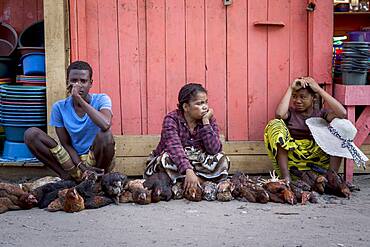 chicken vendors,  market, Morondava, Madagascar