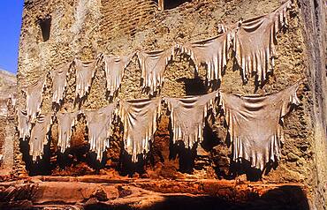 Hung skins for to dry them in the sun,Tannery, Medina, UNESCO World Heritage Site, Fez, Morocco, Africa.