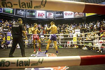 Muay Thai boxers fighting, Bangkok, Thailand