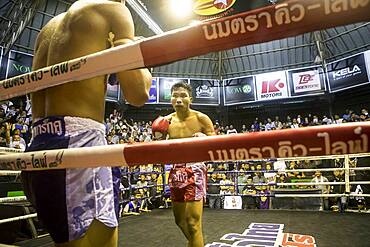 Muay Thai boxers fighting, Bangkok, Thailand