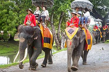 Elephant Ride, Ayuthaya, Thailand