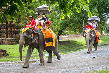 Elephant Ride, Ayuthaya, Thailand