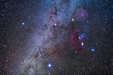 The constellation of Orion the Hunter, at right, and his two Hunting Dogs and their brightest stars: Procyon in Canis Minor (at left) and Sirius in Canis Major (at bottom).