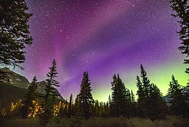 The unusual STEVE auroral arc across the northern sky at Bow Lake, Banff National Park, Alberta on the night of July 16-17, 2018. The more normal green auroral arc is lower across the northern horizon. But STEVE here appears more pink.