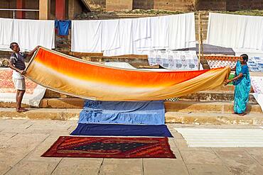 Tending the Laundry for drying, Dasaswamedh Ghat, in Ganges river, Varanasi, Uttar Pradesh, India.