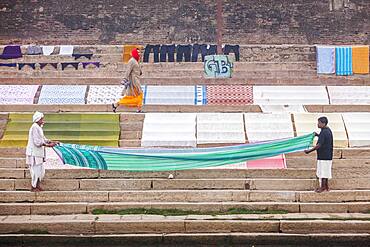 Tending the Laundry for drying, Dasaswamedh Ghat, in Ganges river, Varanasi, Uttar Pradesh, India.