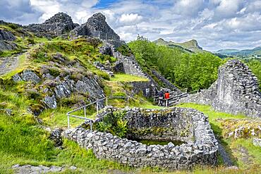 Castell y Bere, Dysynni Valley, Gwynedd, Wales