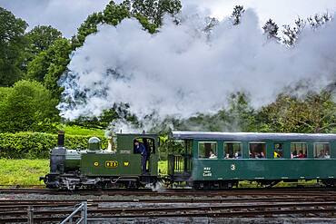 Llanfair and Welshpool Steam Railway, Wales