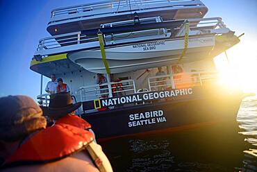 Exploring the Sea of Cortez on a zodiac with Lindblad Expeditions, Baja California, Mexico