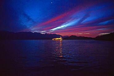 National Geographic Sea Bird at sunset, Baja California, Mexico