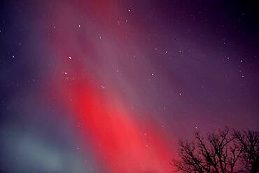 Aurora Borealis Northern Lights red explosion near Kleefeld, Manitoba, Canada