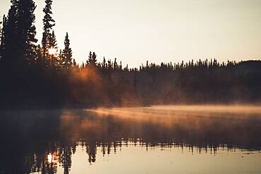 A fine layer of fog shimmers golden in the light of the rising sun. Yukon Territory, Canada