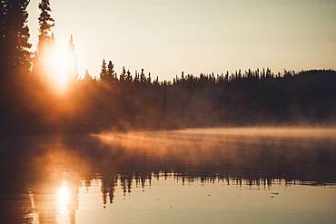 A fine layer of fog shimmers golden in the light of the rising sun. Yukon Territory, Canada