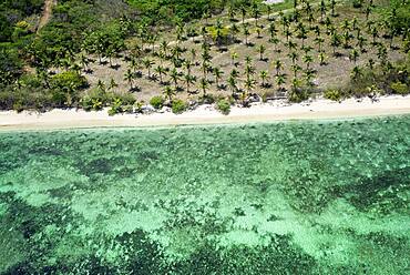 Aerial view of coco palms in Viti Levu coast beach, Fiji