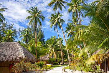 Le Bora Bora by Pearl Resorts luxury resort in motu Tevairoa island, a little islet in the lagoon of Bora Bora, Society Islands, French Polynesia, South Pacific.