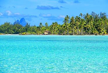 Tropical paradise seascape Taha'a island landscape, French Polynesia. Motu Mahana palm trees at the beach, Taha'a, Society Islands, French Polynesia, South Pacific.