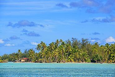 Tropical paradise seascape Taha'a island landscape, French Polynesia. Motu Mahana palm trees at the beach, Taha'a, Society Islands, French Polynesia, South Pacific.