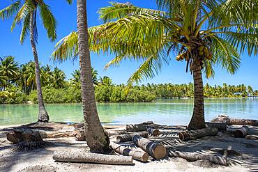 Tropical paradise seascape Taha'a island landscape, French Polynesia. Motu Mahana palm trees at the beach, Taha'a, Society Islands, French Polynesia, South Pacific.