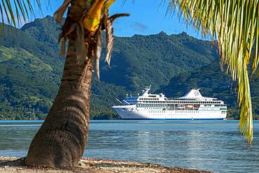 Paul Gauguin docked in the Island of Taha'a, French Polynesia. Motu Mahana palm trees at the beach, Taha'a, Society Islands, French Polynesia, South Pacific.