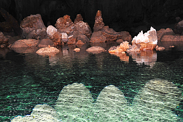 Cone forest inside the lake, Anhumas Abyss, Bonito, Mato Grosso do Sul, Brazil