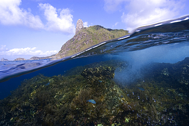 Morro do pico and wave breaking over reef, split level, Fernando de Noronha, Pernambuco, Brazil